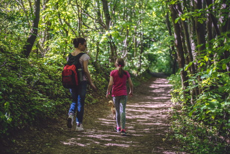 walking in the woods